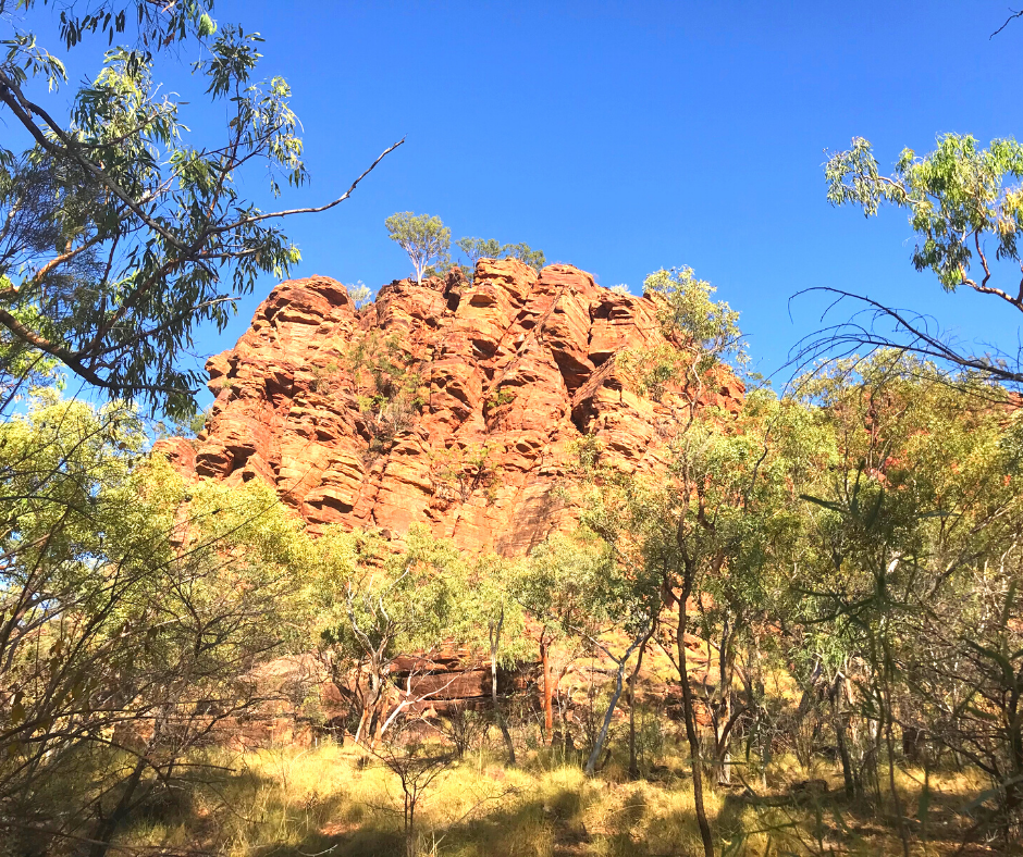 Lawn Hill Gorge: All the beauty and colours of a rainbow - Destination4WD