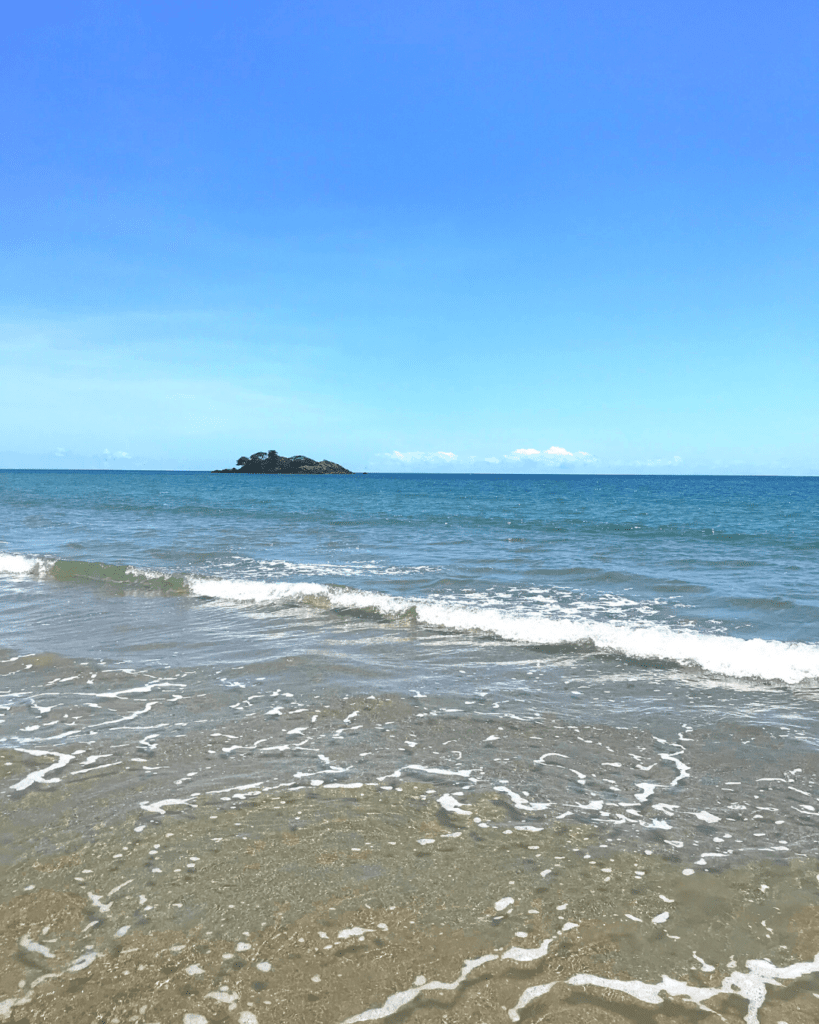 Destinatio4WD Cape Tribulation Thornton Beach