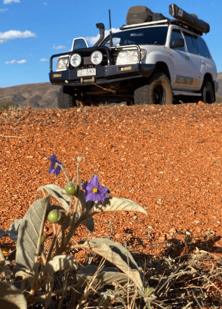 Destination 4WD must have 4x4 accessories for your next road trip 4x4
