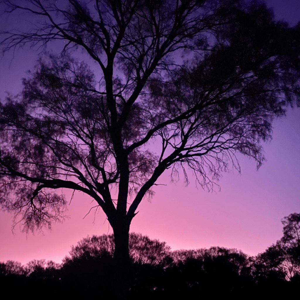 Destination 4wd best 4wd destinations australia redbank gorge woodland campground
