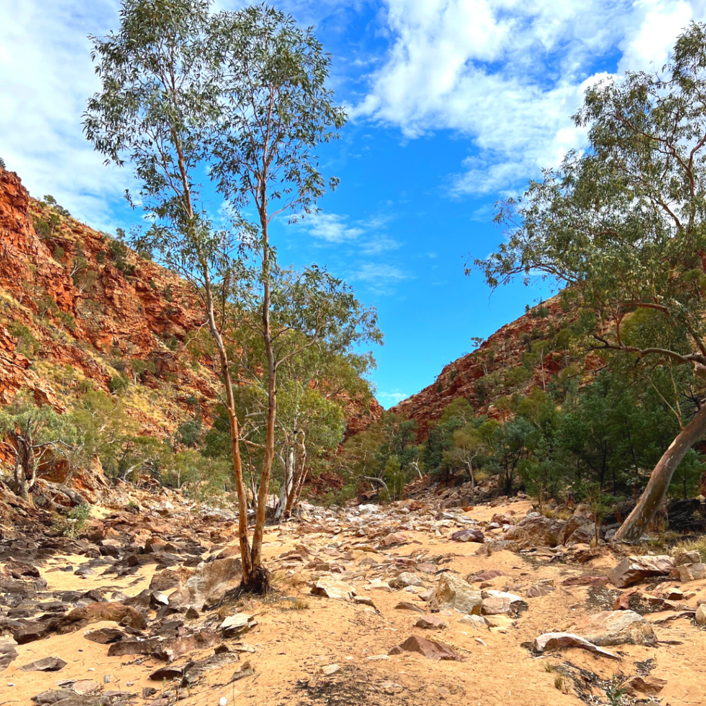 Destination 4wd best 4wd destinations australia redbank gorge