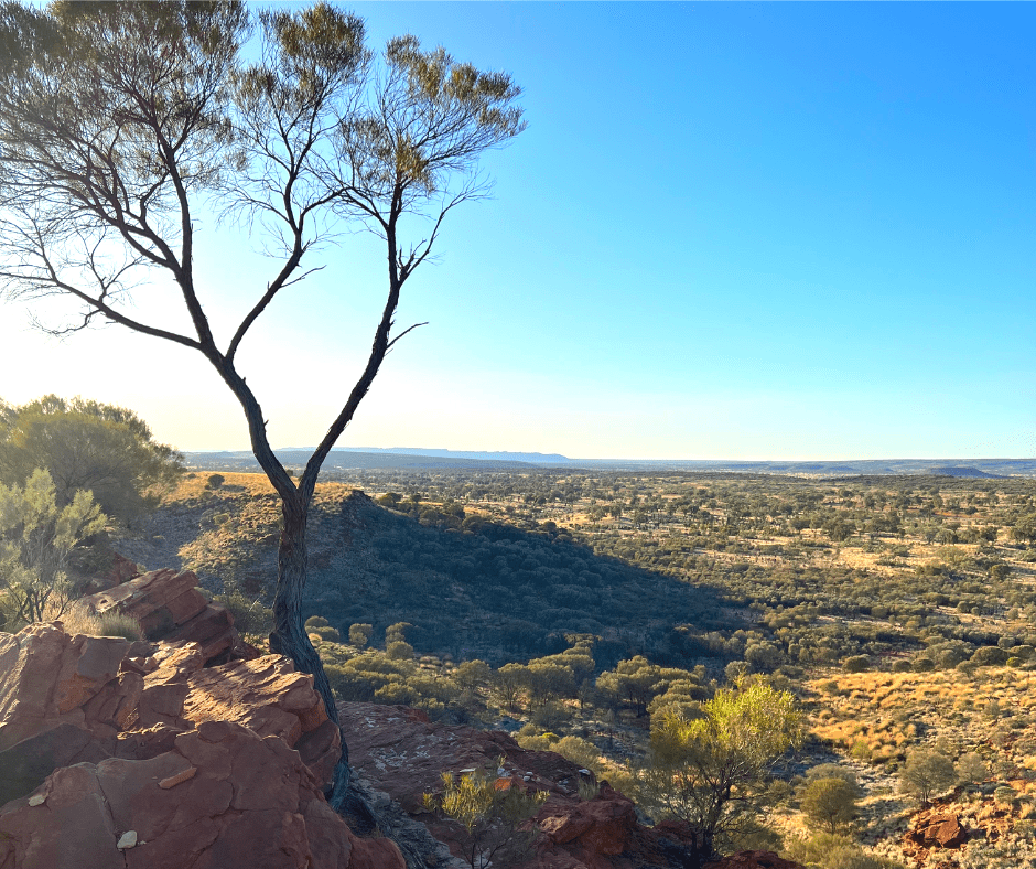 Destination 4wd best 4wd destinations australia Kings Canyon Free camp