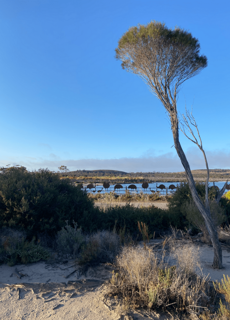 Destination4wd wave rock landscape best 4wd destinations australia
