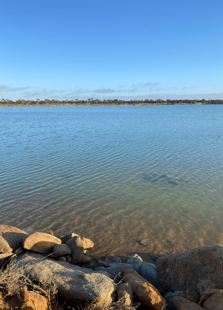 Destination4wd wave rock salt lake best 4wd destinations australia