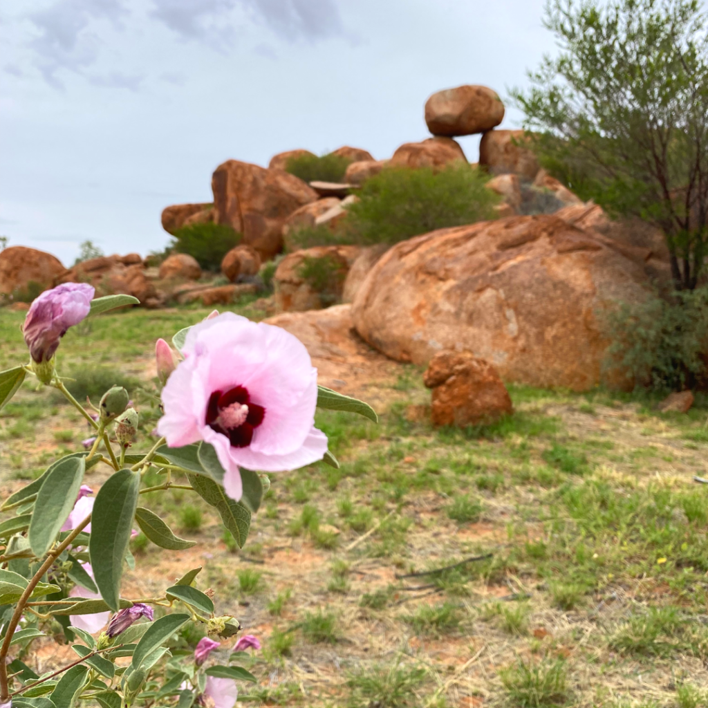 Destination4wd devils marbles