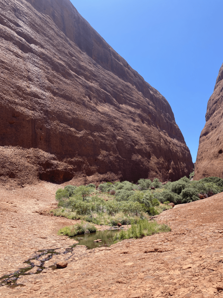 Kata Tjuta The Olgas Destination4WD 2022 best 4wd destinations