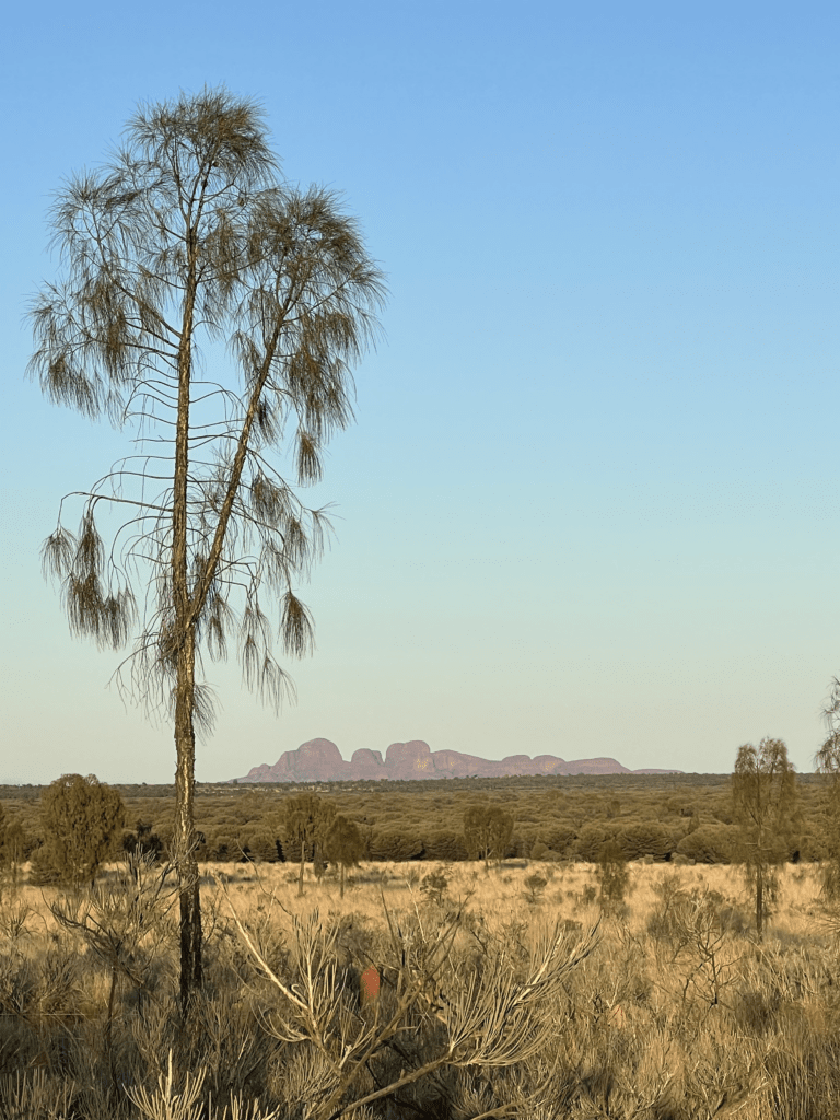 Uluru Destination4wd The Olgas view