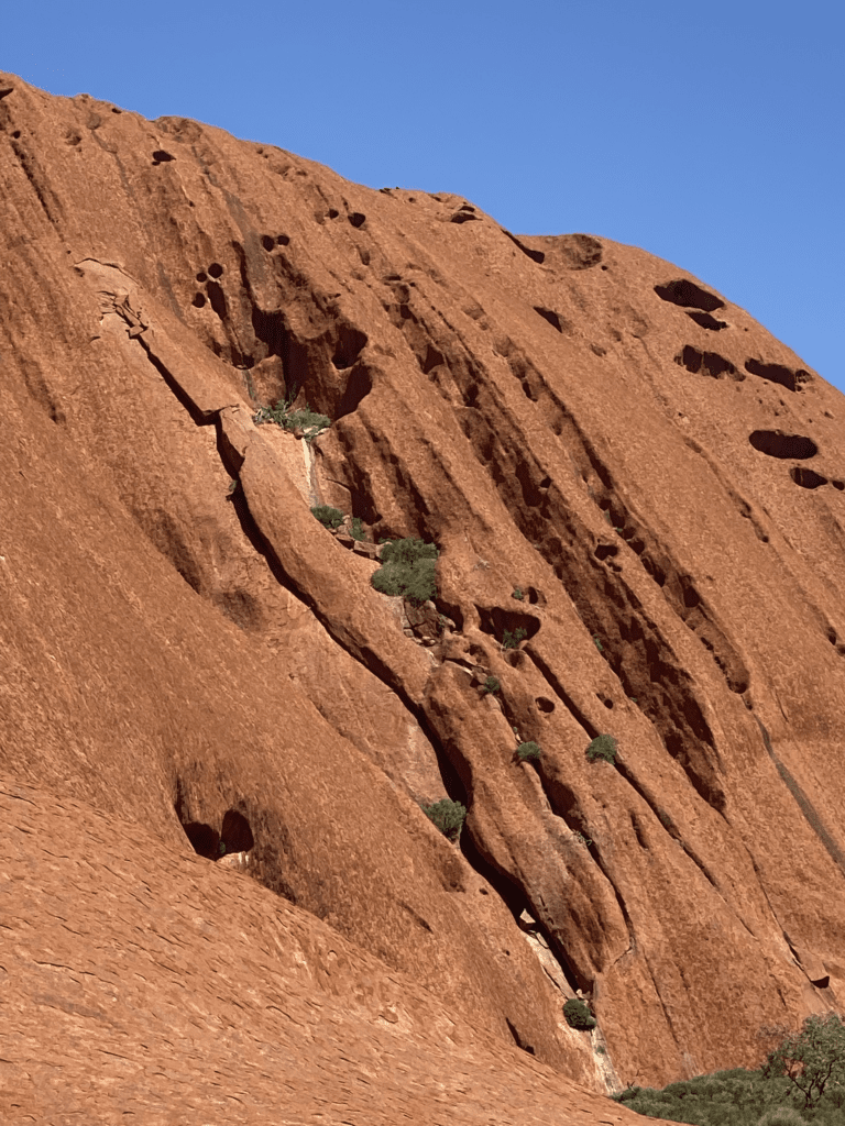 Waterhole Uluru Destination4wd holes