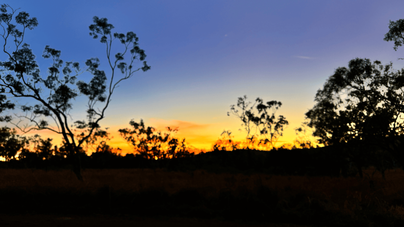 The Kimberley road trip Savannah Way Mataranka Katherine Rafa and Liz